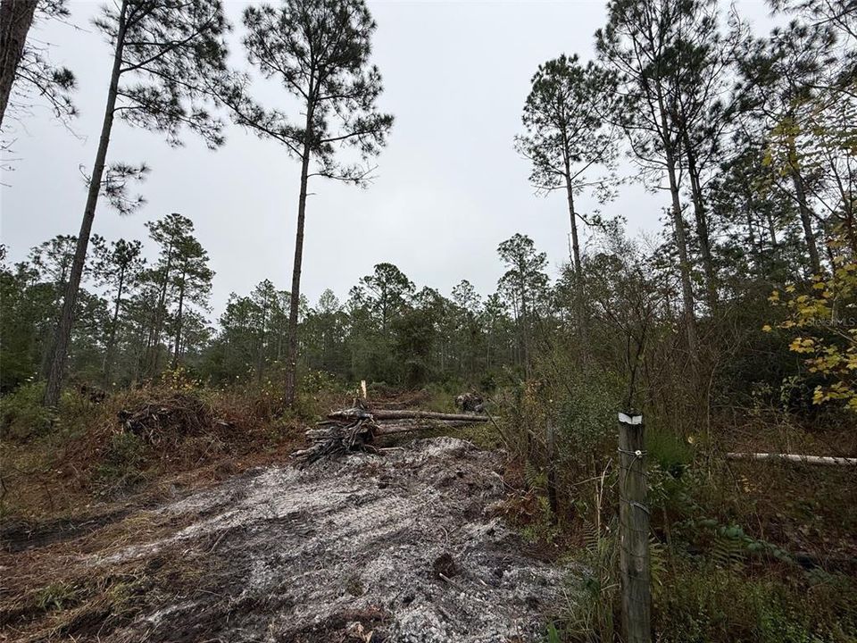 На продажу: $125,000 (3 спален, 2 ванн, 904 Квадратных фут)