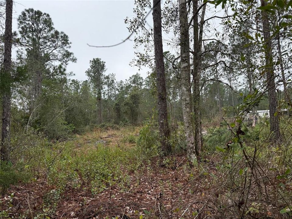 На продажу: $125,000 (3 спален, 2 ванн, 904 Квадратных фут)