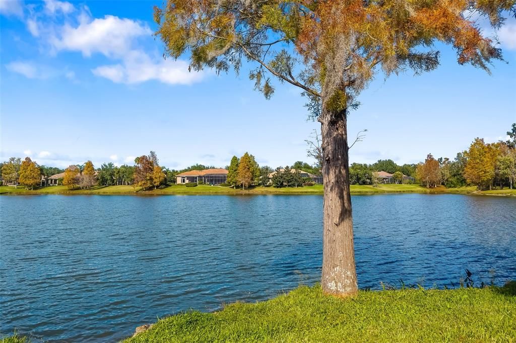 For Sale: $900,000 (3 beds, 3 baths, 3246 Square Feet)