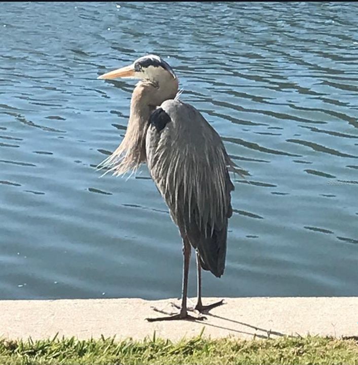 For Sale: $212,000 (1 beds, 1 baths, 1060 Square Feet)