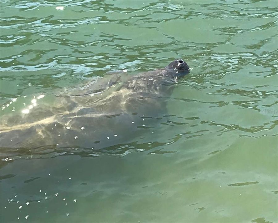 For Sale: $212,000 (1 beds, 1 baths, 1060 Square Feet)