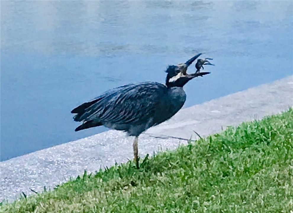 For Sale: $212,000 (1 beds, 1 baths, 1060 Square Feet)