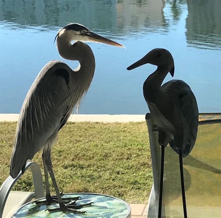 For Sale: $212,000 (1 beds, 1 baths, 1060 Square Feet)