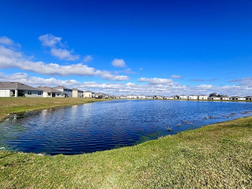 出租: $2,590 (5 贝兹, 2 浴室, 2670 平方英尺)