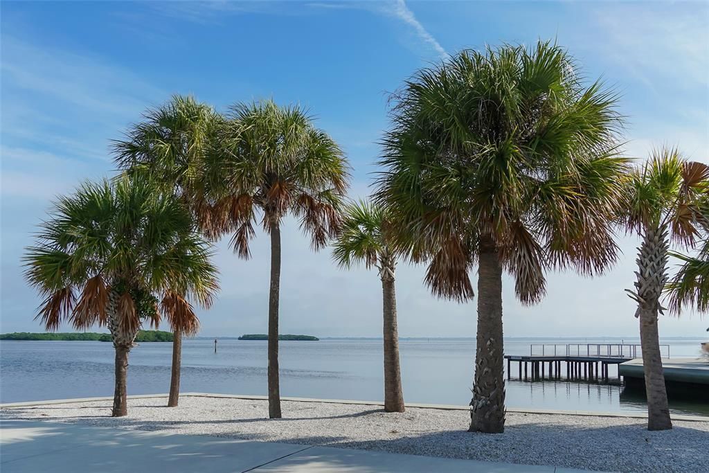 For Sale: $1,100,000 (0.23 acres)