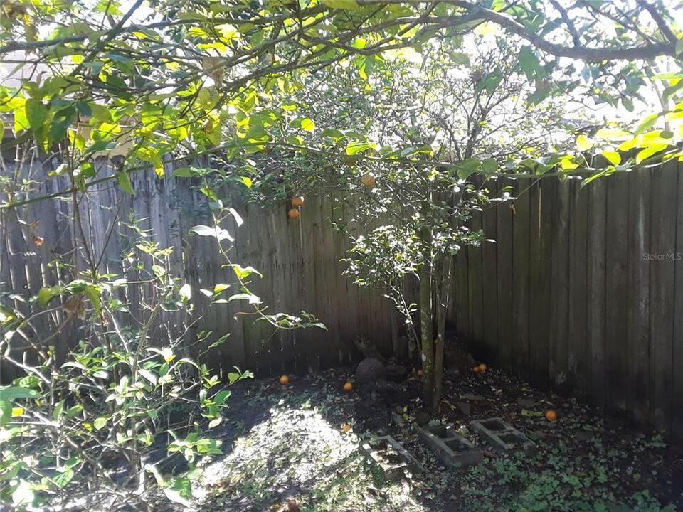 出租: $1,525 (2 贝兹, 1 浴室, 904 平方英尺)