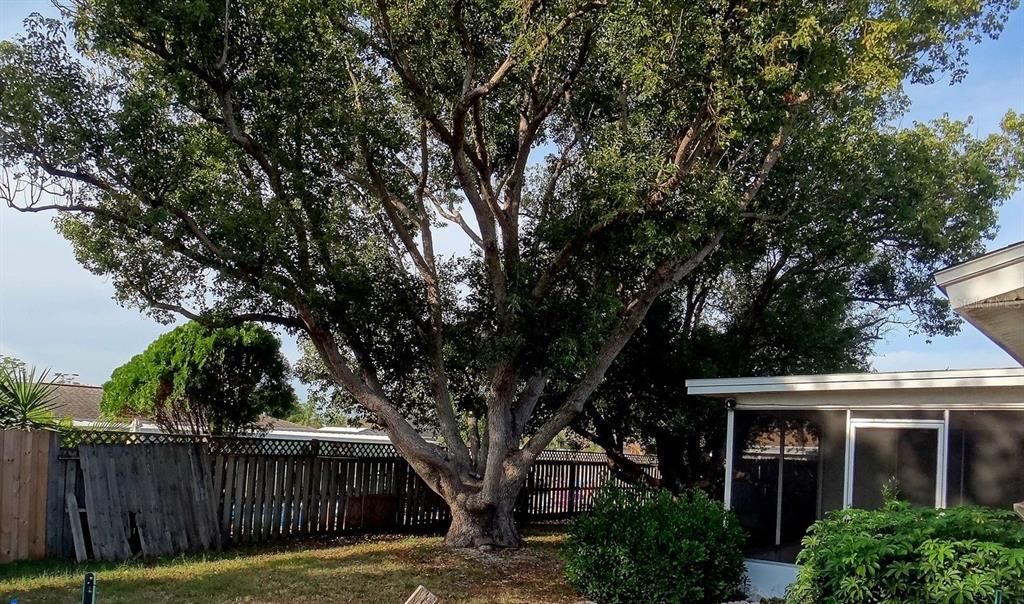 En Venta: $195,000 (3 camas, 2 baños, 1310 Pies cuadrados)