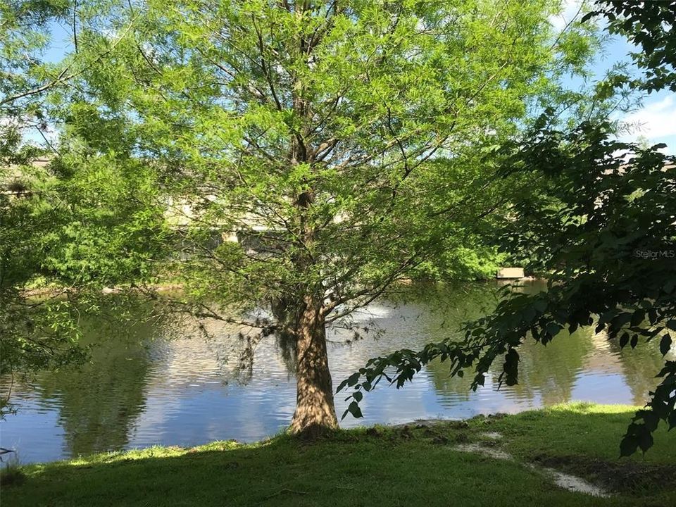 For Rent: $2,350 (3 beds, 2 baths, 1602 Square Feet)