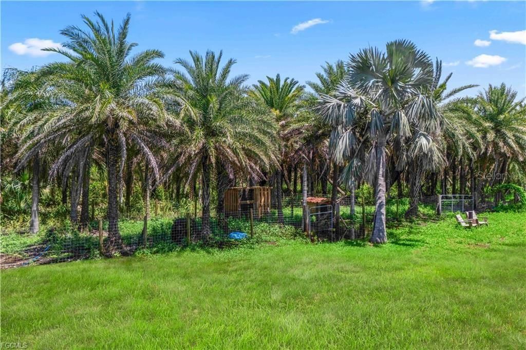 待售: $499,000 (16.50 acres)