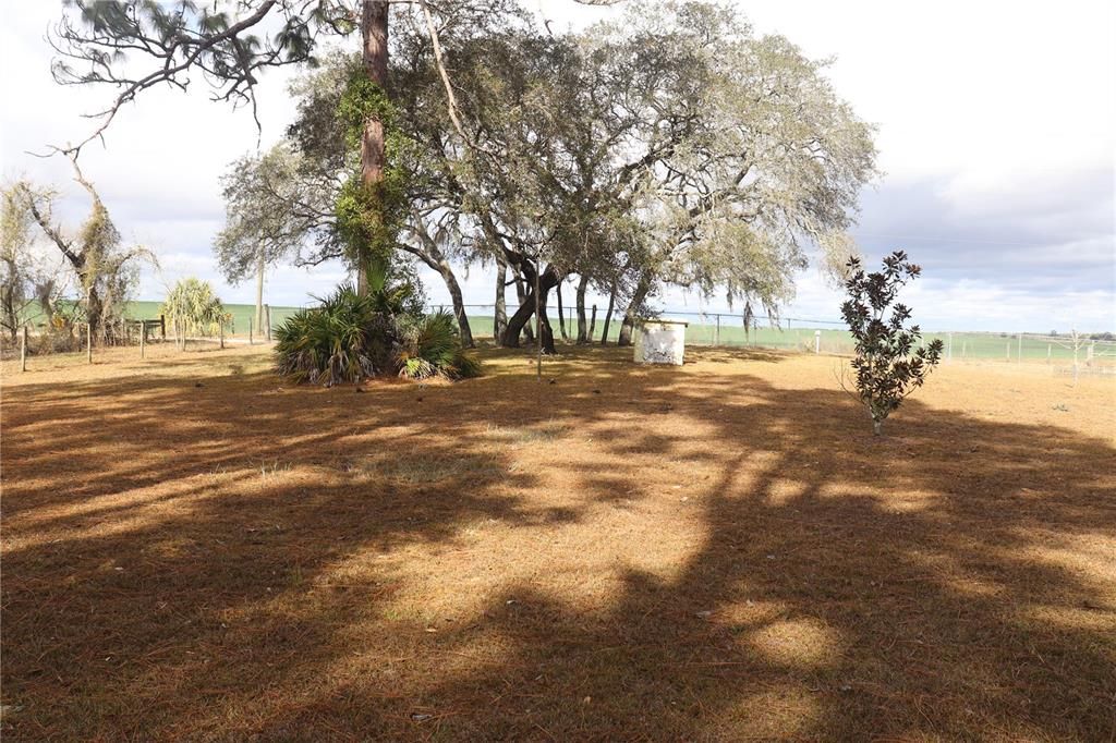 For Sale: $230,750 (3 beds, 2 baths, 1344 Square Feet)