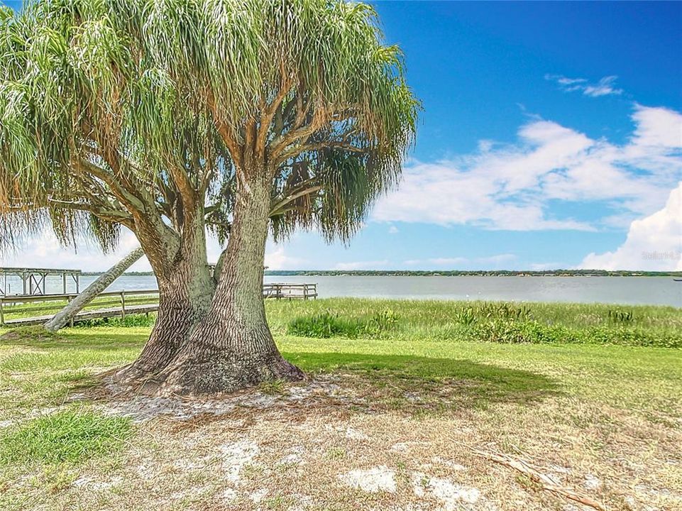 待售: $539,000 (2 贝兹, 2 浴室, 1736 平方英尺)