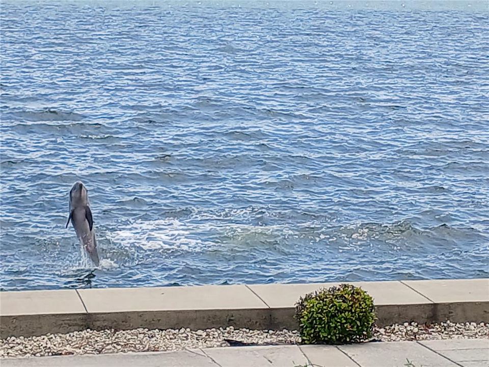 For Sale: $374,900 (2 beds, 2 baths, 1375 Square Feet)