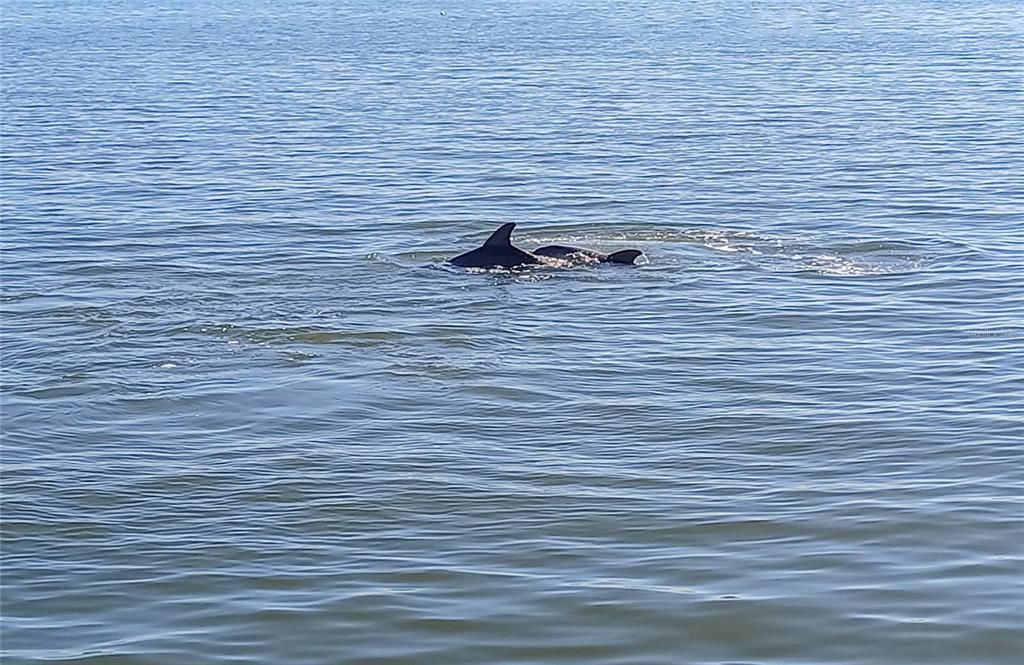 For Sale: $374,900 (2 beds, 2 baths, 1375 Square Feet)