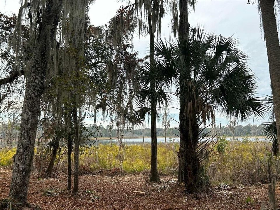 待售: $650,000 (40.34 acres)