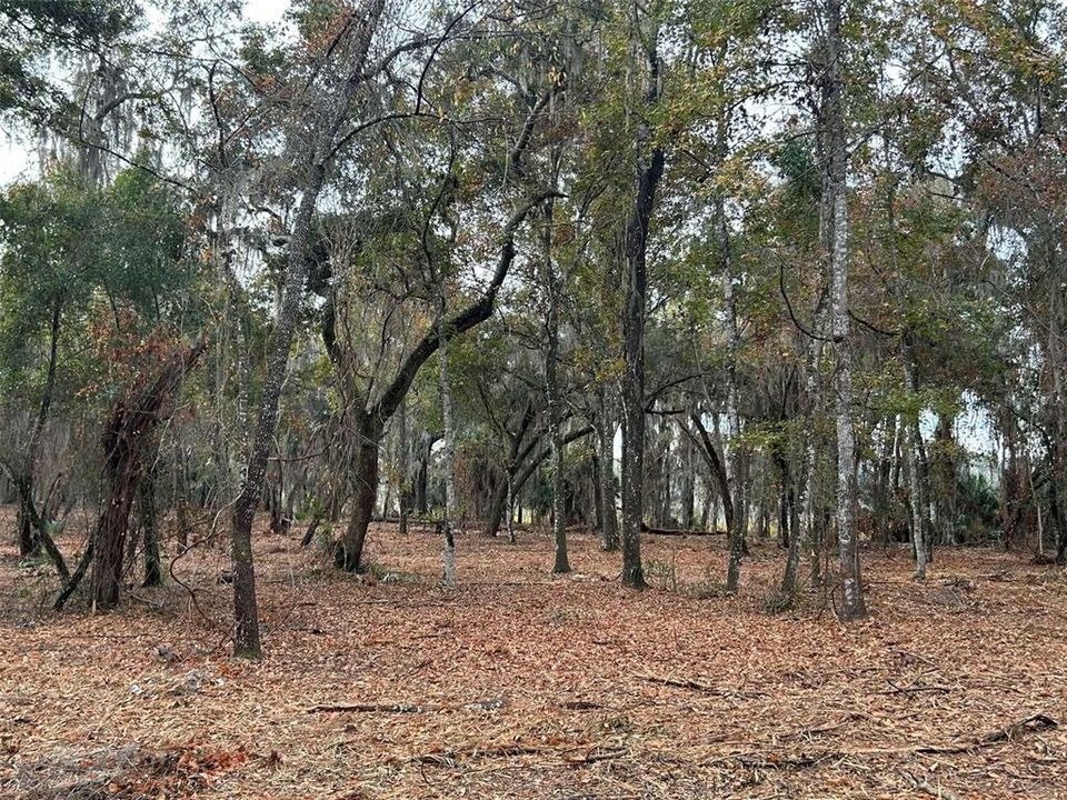 待售: $650,000 (40.34 acres)