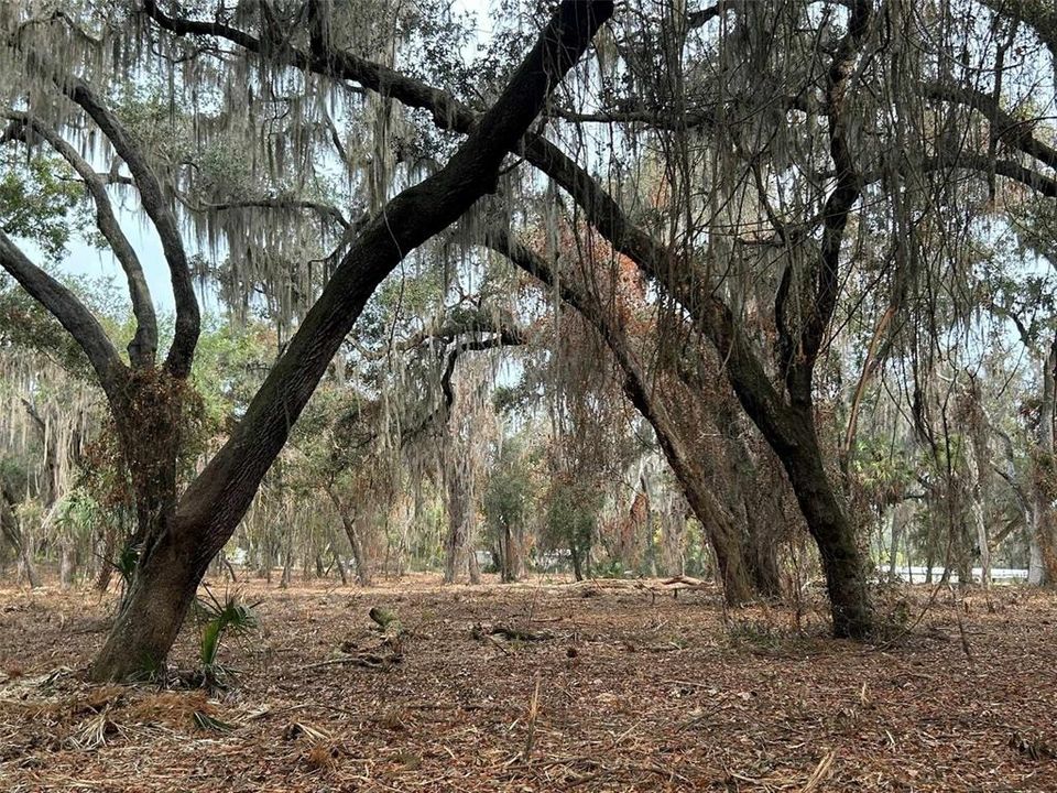 待售: $650,000 (40.34 acres)