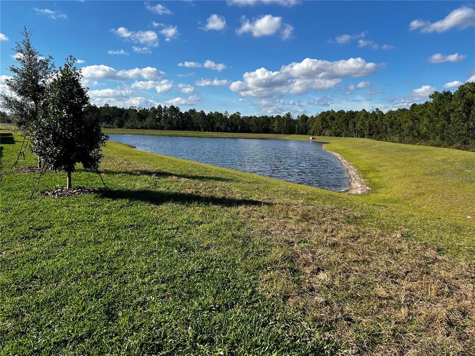 В аренду: $4,700 (5 спален, 4 ванн, 3100 Квадратных фут)