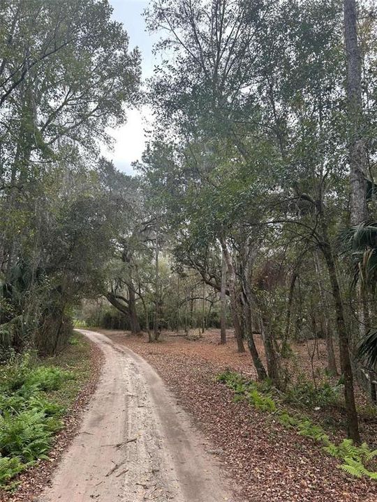 待售: $110,000 (5.56 acres)