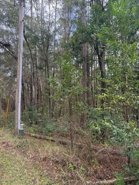 待售: $39,900 (1.20 acres)