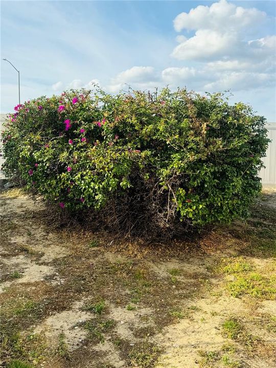 На продажу: $74,750 (0.17 acres)