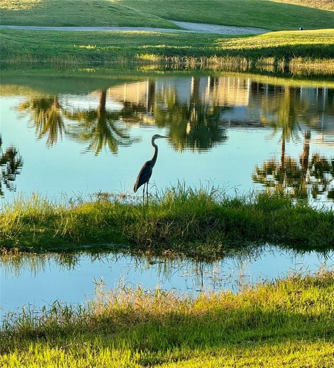 На продажу: $74,750 (0.17 acres)