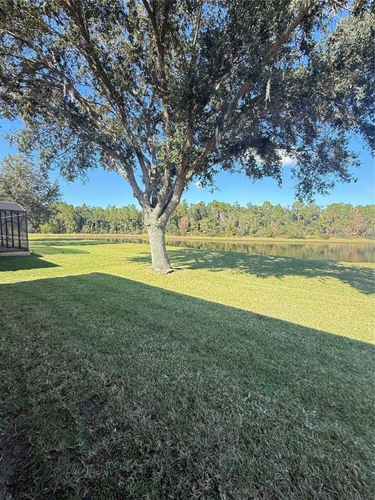 出租: $3,495 (4 贝兹, 3 浴室, 3040 平方英尺)