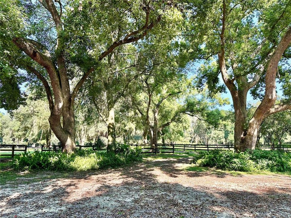 出租: $5,000 (2 贝兹, 2 浴室, 1884 平方英尺)