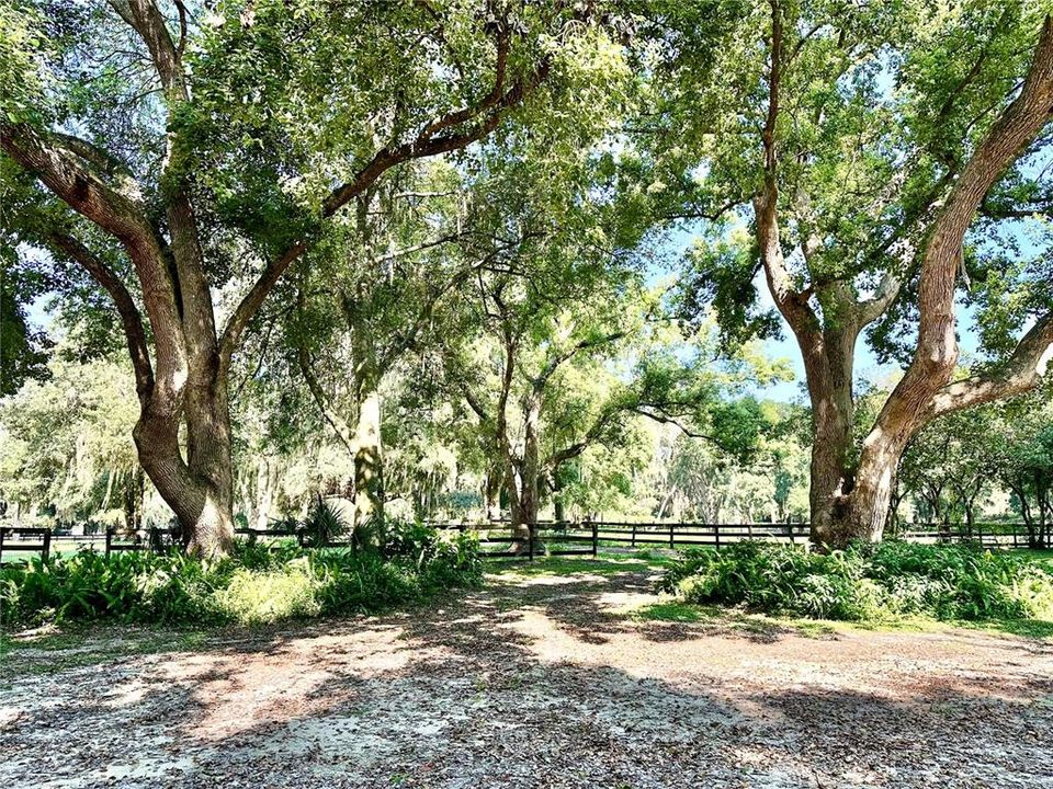 出租: $5,000 (2 贝兹, 2 浴室, 1884 平方英尺)