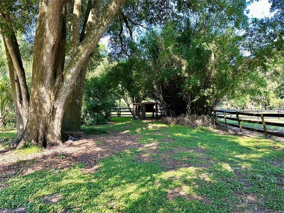 出租: $5,000 (2 贝兹, 2 浴室, 1884 平方英尺)