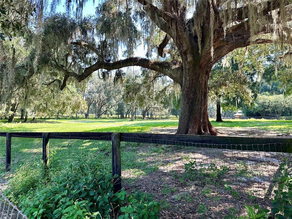 待售: $550,000 (2 贝兹, 2 浴室, 1884 平方英尺)