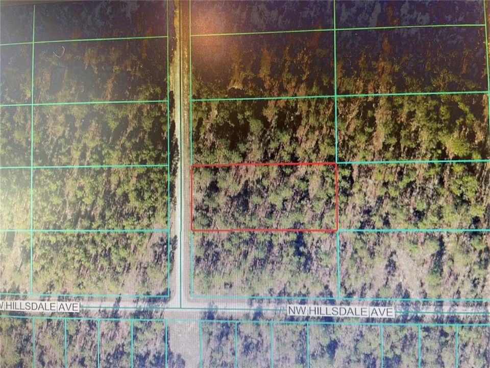 For Sale: $29,900 (1.00 acres)