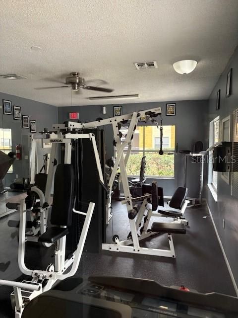 En Renta: $1,250 (1 camas, 1 baños, 665 Pies cuadrados)