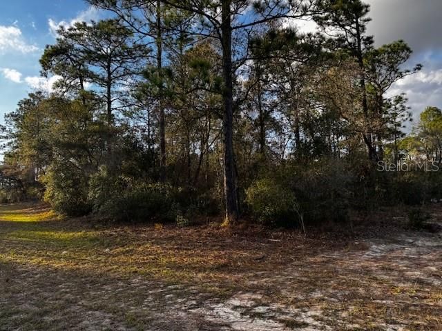 En Venta: $80,000 (1.57 acres)