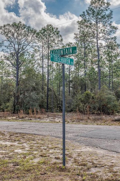 En Venta: $80,000 (1.57 acres)