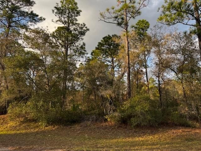 En Venta: $80,000 (1.57 acres)