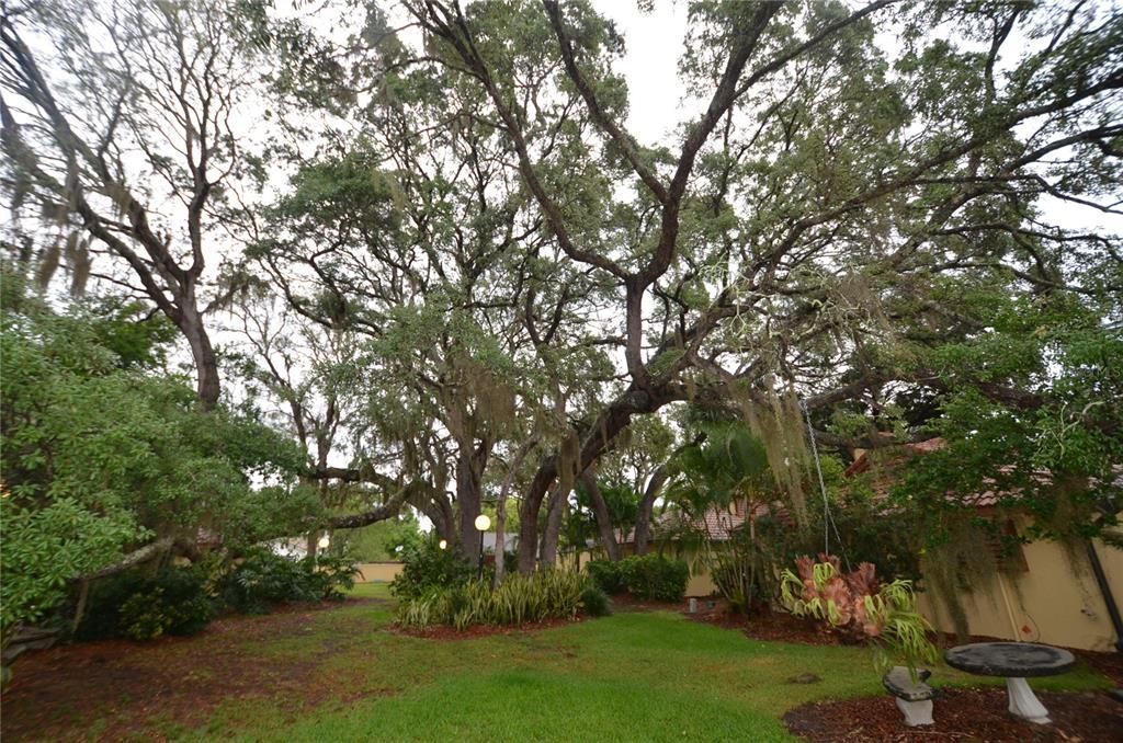 В аренду: $2,200 (3 спален, 2 ванн, 1586 Квадратных фут)