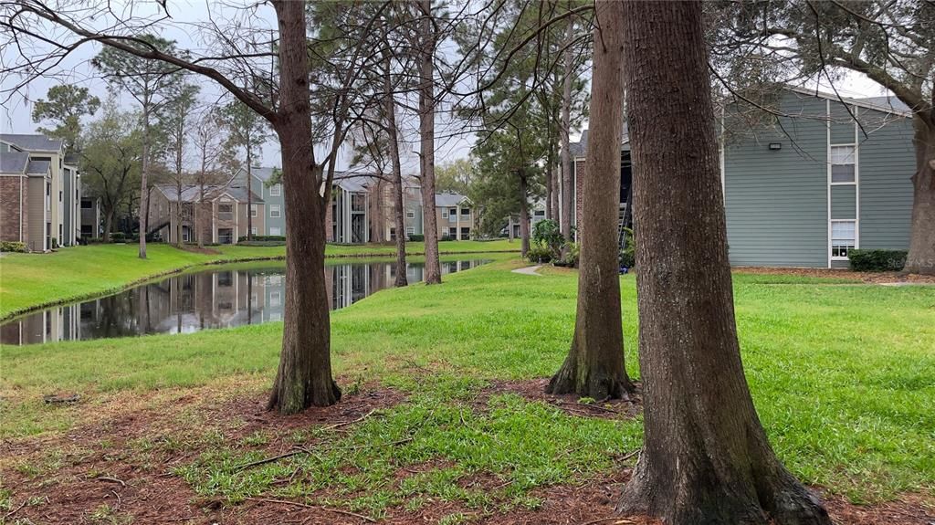 For Sale: $142,500 (1 beds, 0 baths, 732 Square Feet)