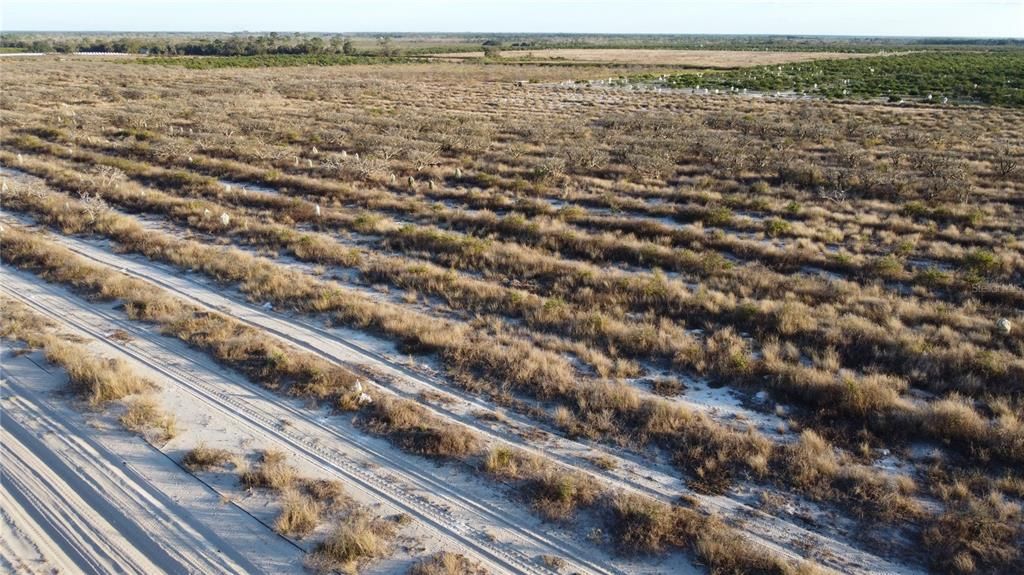 待售: $1,595,000 (80.00 acres)