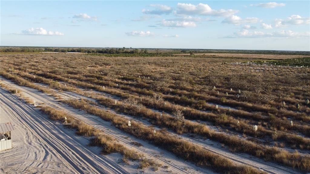 待售: $1,595,000 (80.00 acres)