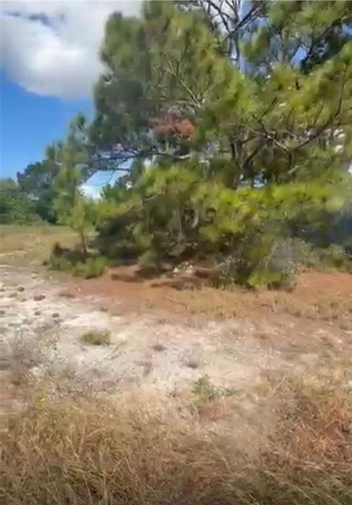 En Venta: $16,000 (0.23 acres)