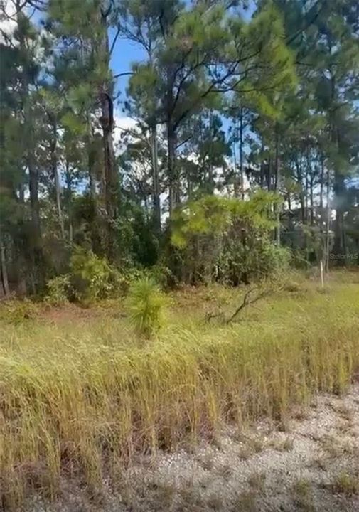 En Venta: $16,000 (0.23 acres)