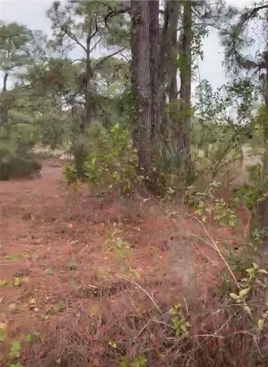 En Venta: $16,000 (0.23 acres)