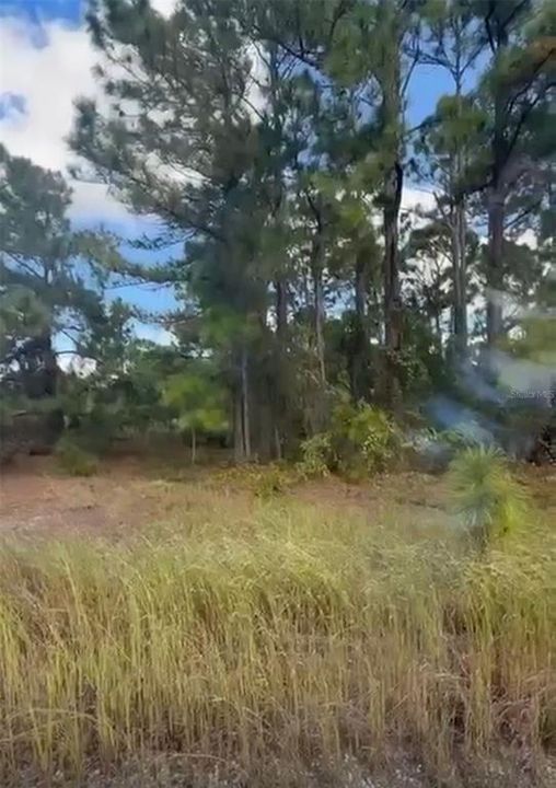 En Venta: $16,000 (0.23 acres)