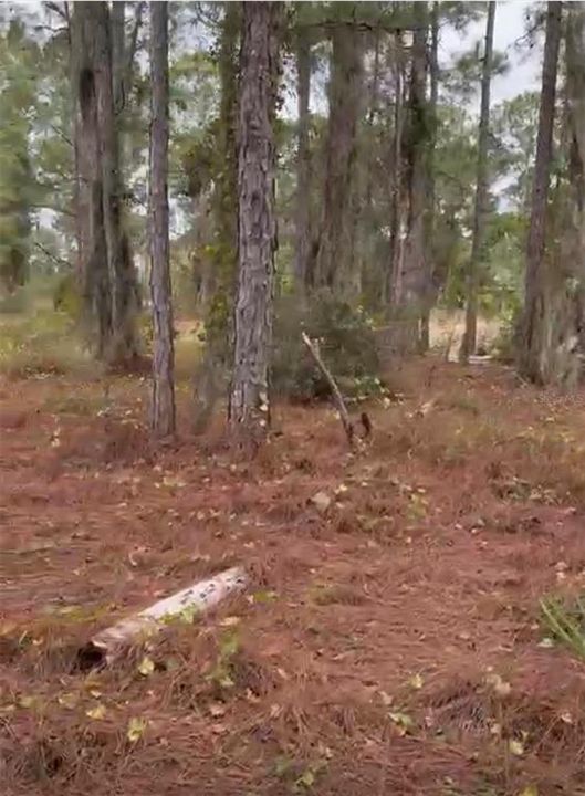 En Venta: $16,000 (0.23 acres)