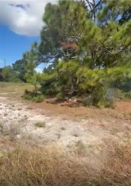 En Venta: $16,000 (0.23 acres)