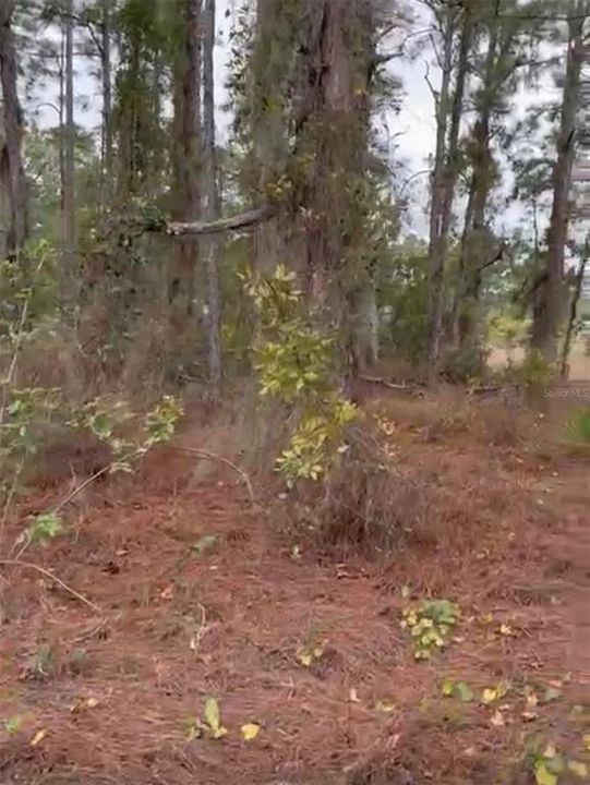 En Venta: $16,000 (0.23 acres)