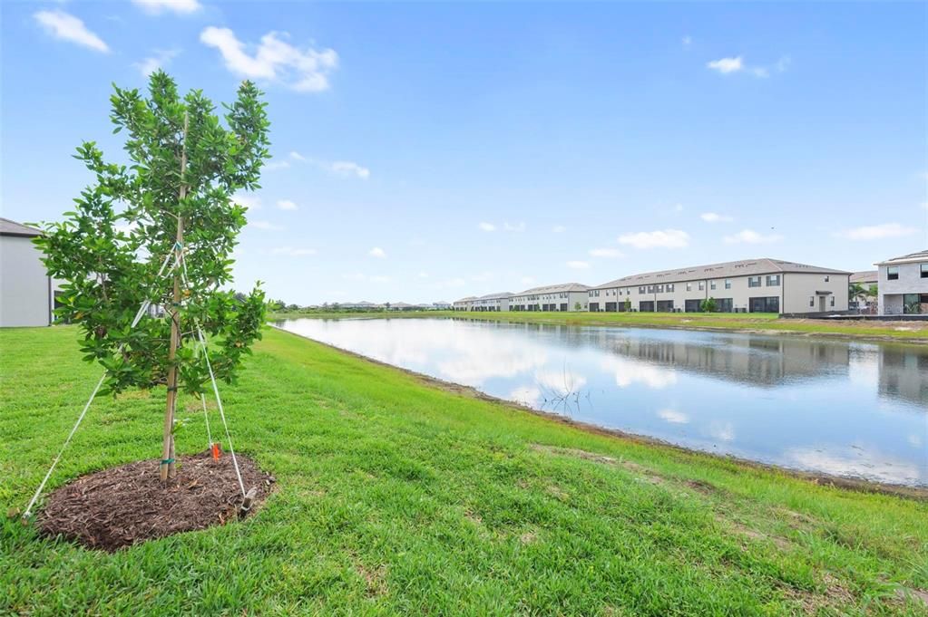 В аренду: $2,750 (3 спален, 2 ванн, 1879 Квадратных фут)