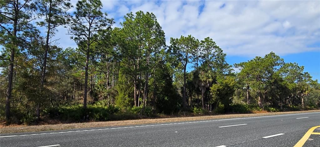 For Sale: $54,900 (0.52 acres)