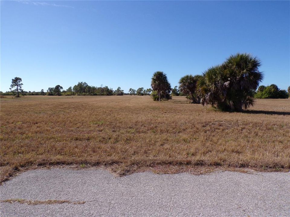 For Sale: $18,990 (0.23 acres)