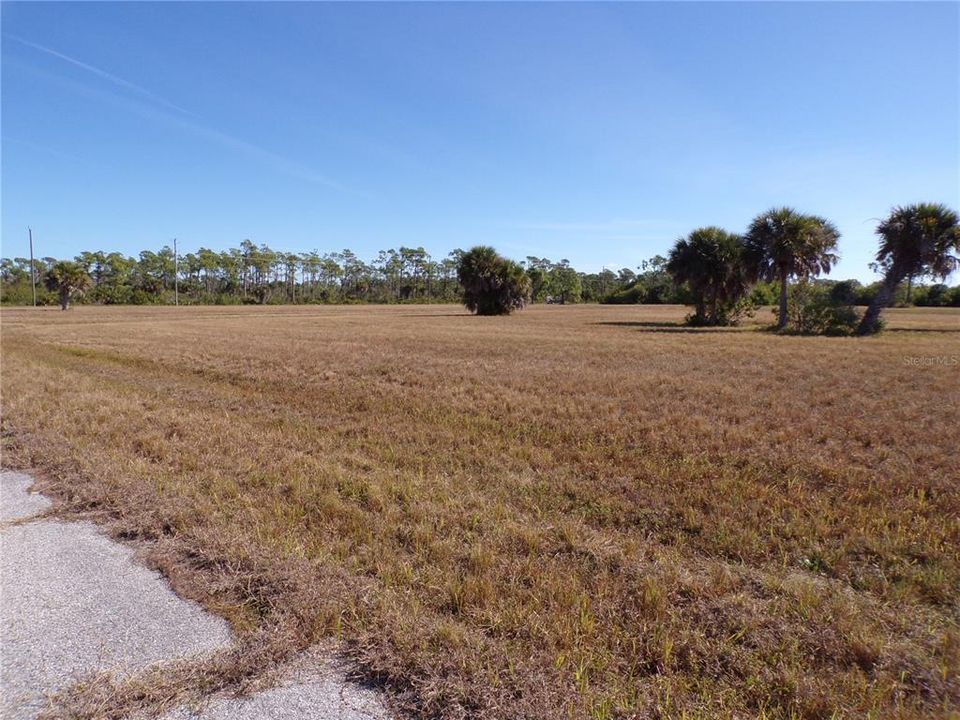 For Sale: $18,990 (0.23 acres)